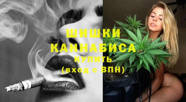 шишки Богородск