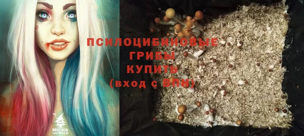 MDMA Premium VHQ Богородицк