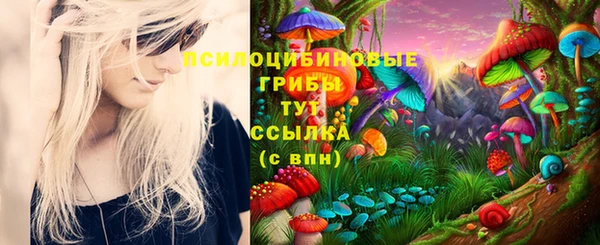 мяу мяу кристалл Богданович