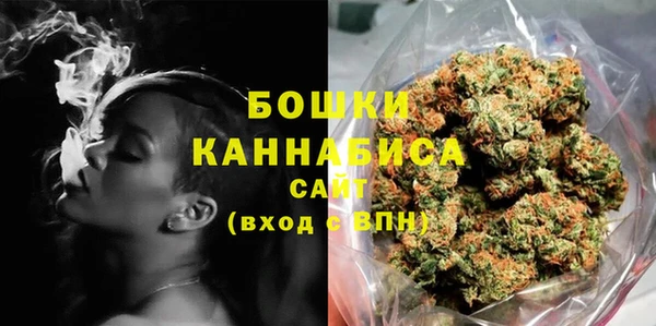 шишки Богородск