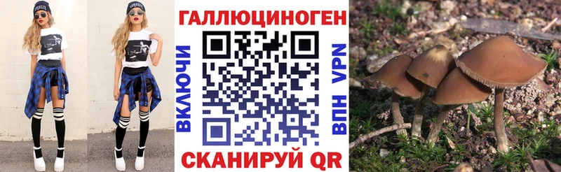 Псилоцибиновые грибы Magic Shrooms  наркошоп  Волгореченск 